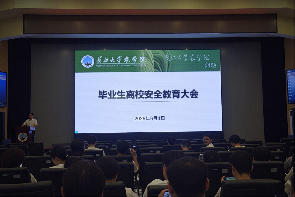 球王会平台