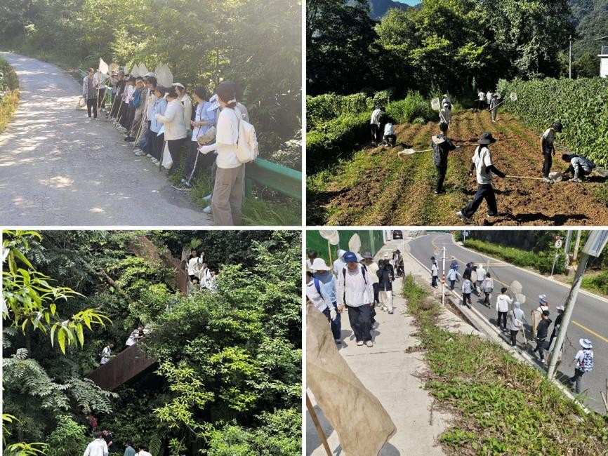 球王会平台
