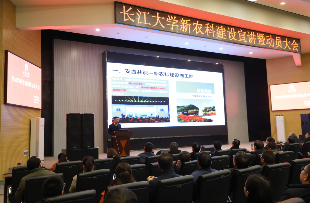 球王会平台