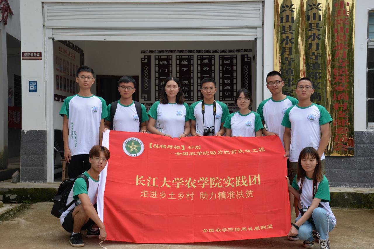 球王会平台