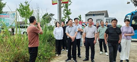 球王会平台