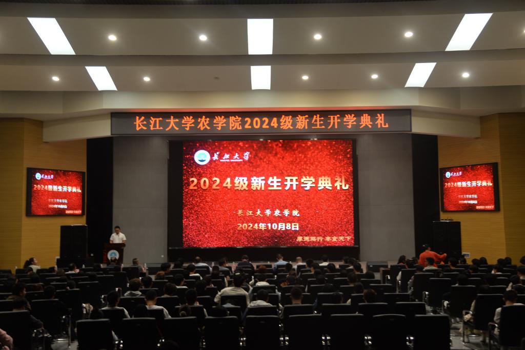 球王会平台
