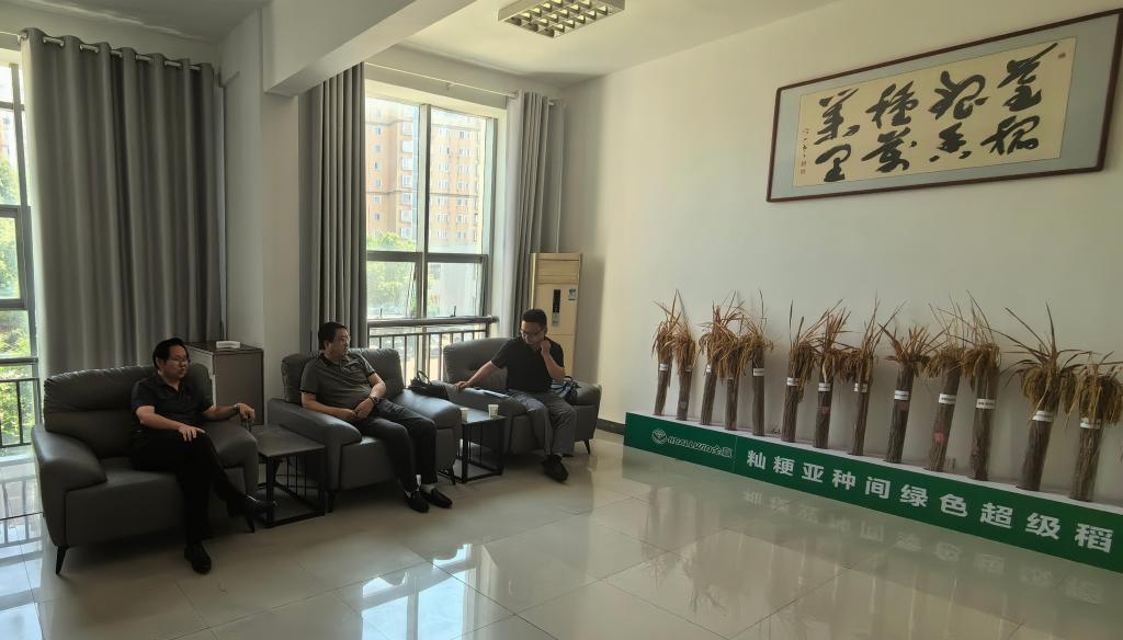 球王会平台