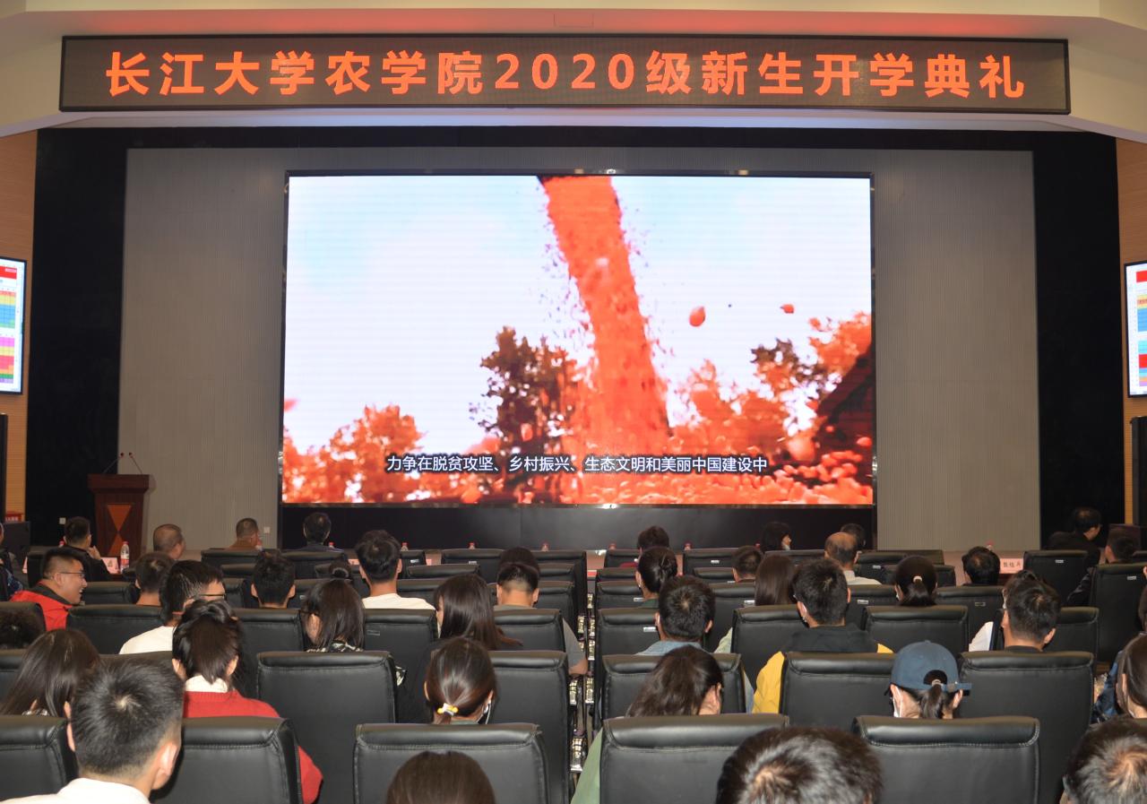球王会平台