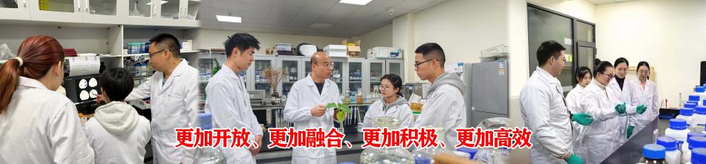 球王会平台