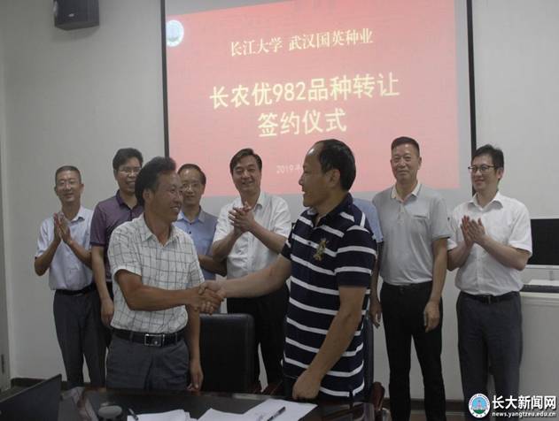 球王会平台