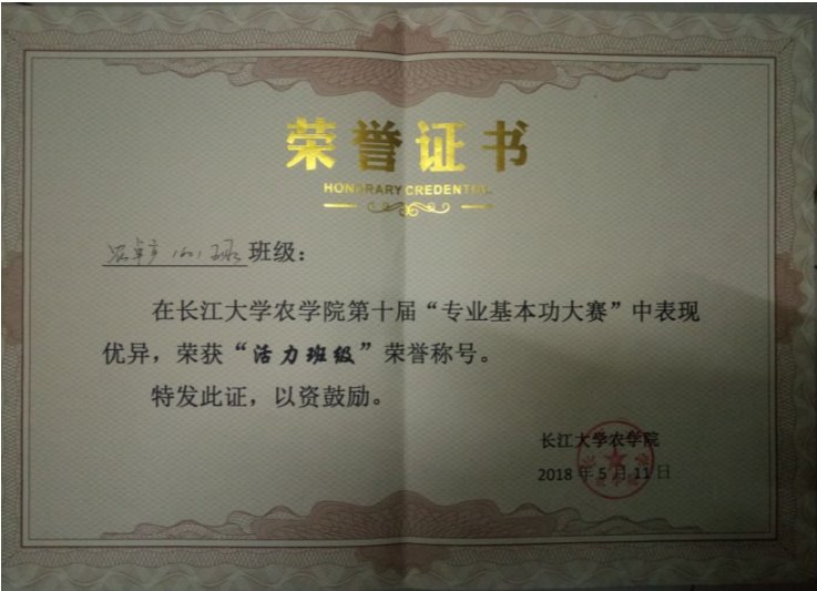 球王会平台