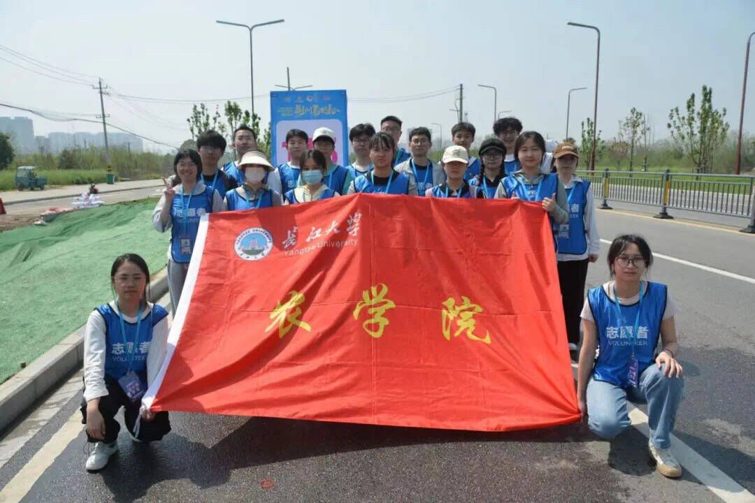 球王会平台