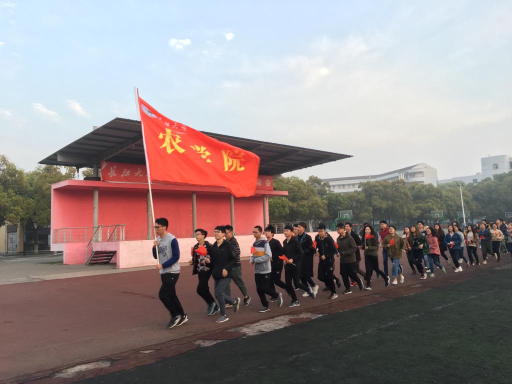 球王会平台