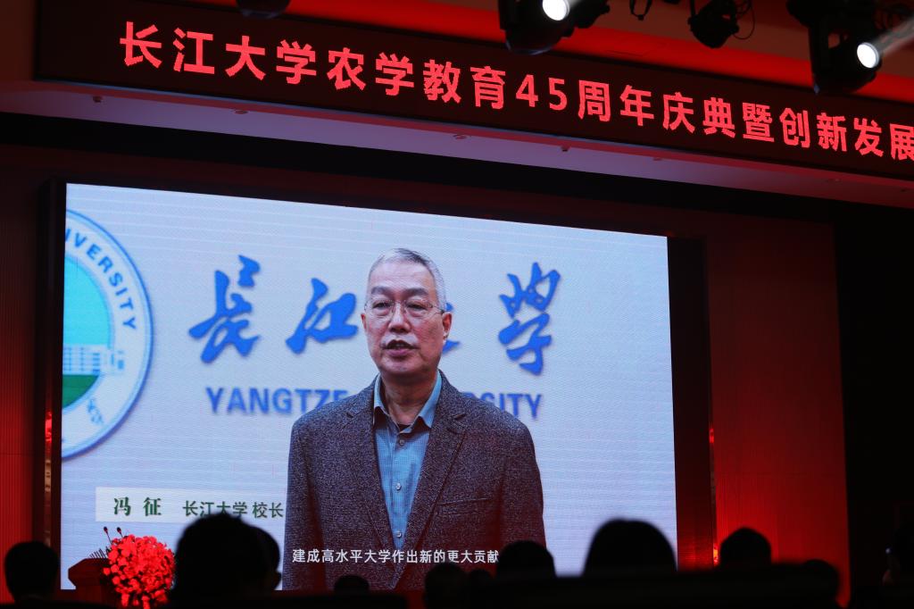 球王会平台