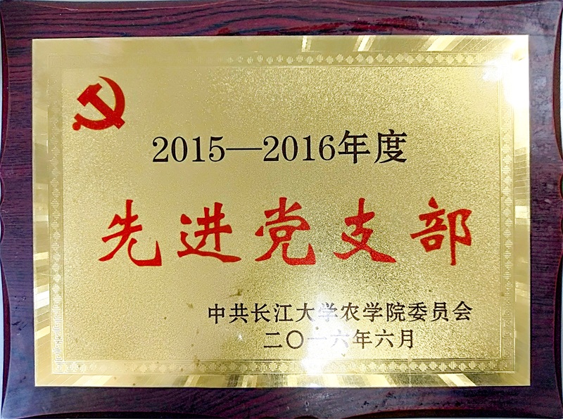 球王会平台