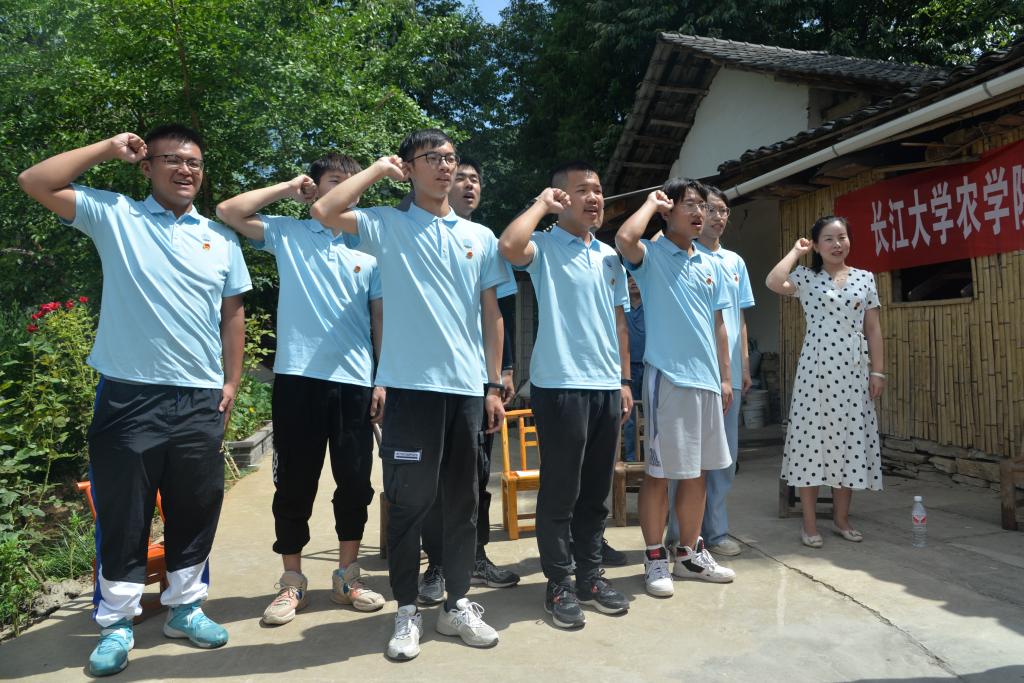 球王会平台