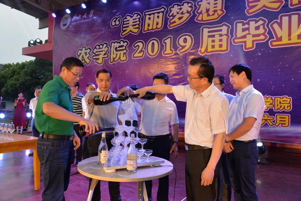 球王会平台