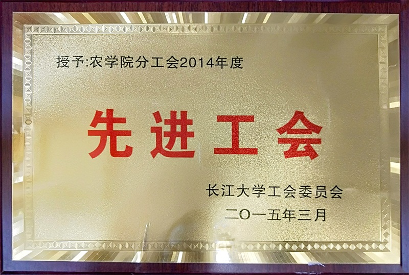 球王会平台