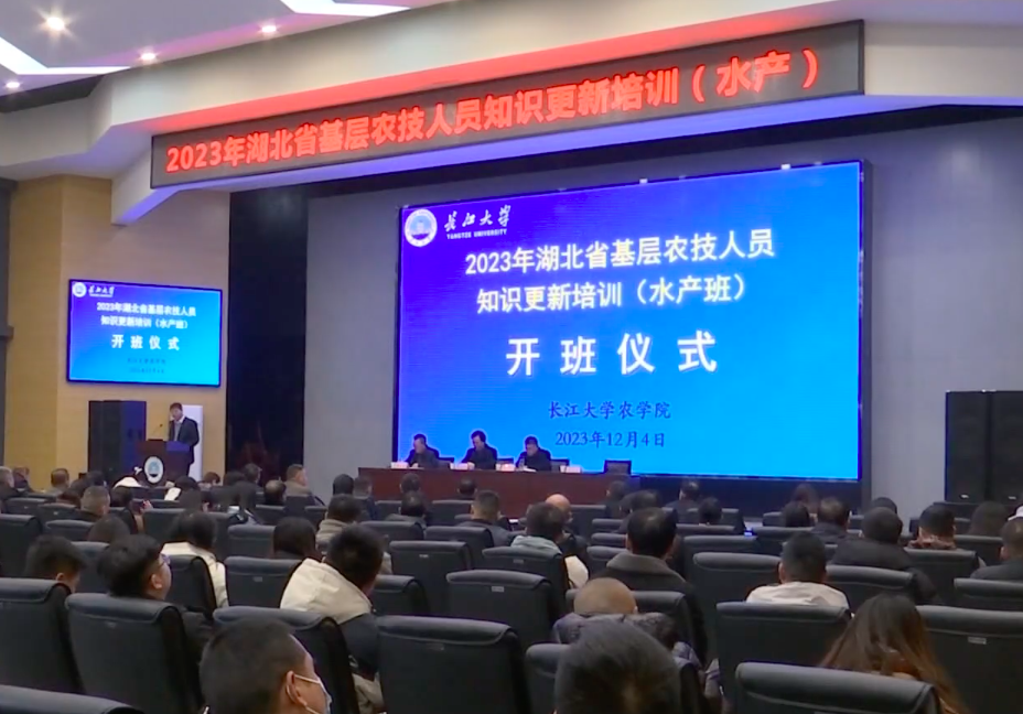 球王会平台