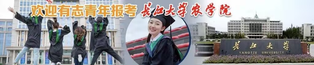 球王会平台