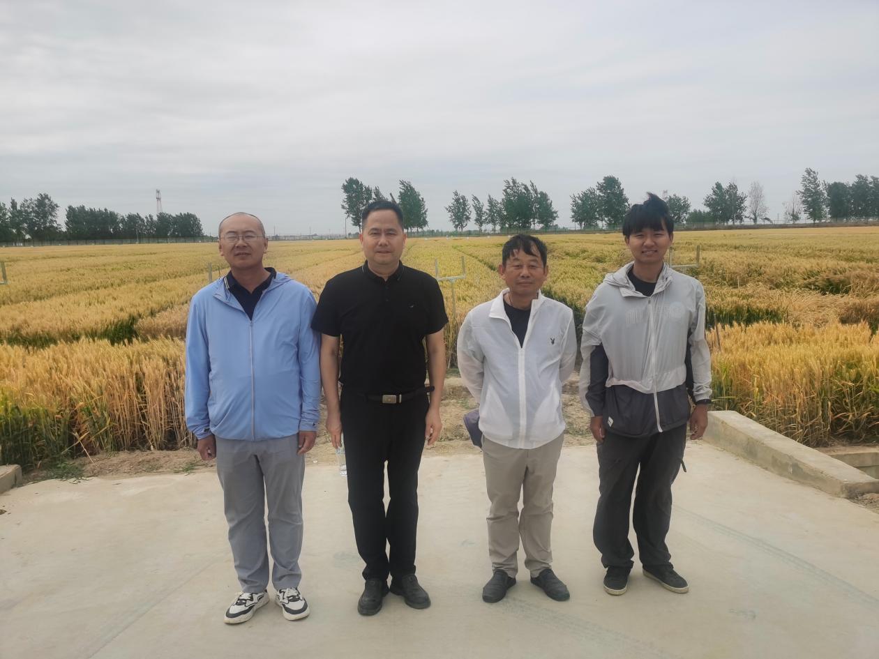 球王会平台