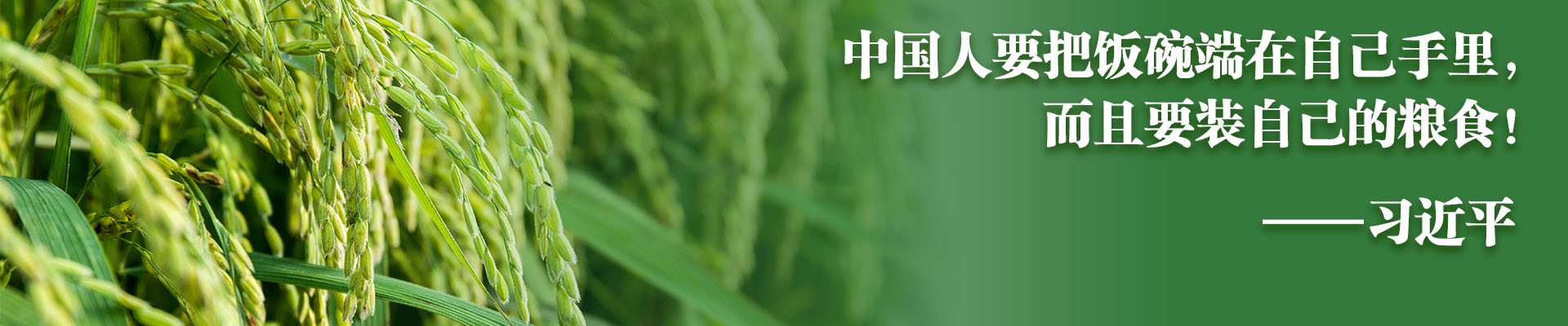 球王会平台