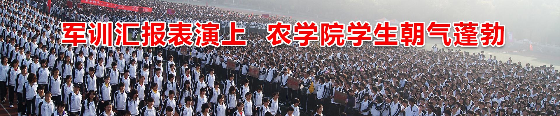 球王会平台
