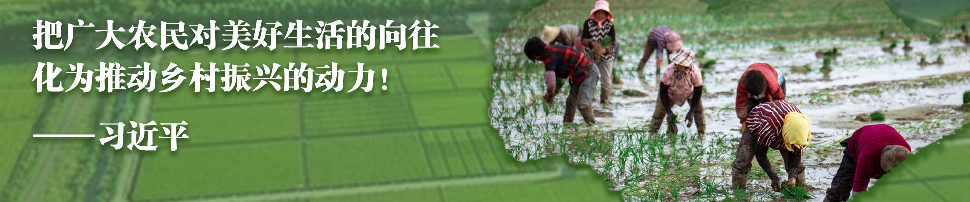 球王会平台