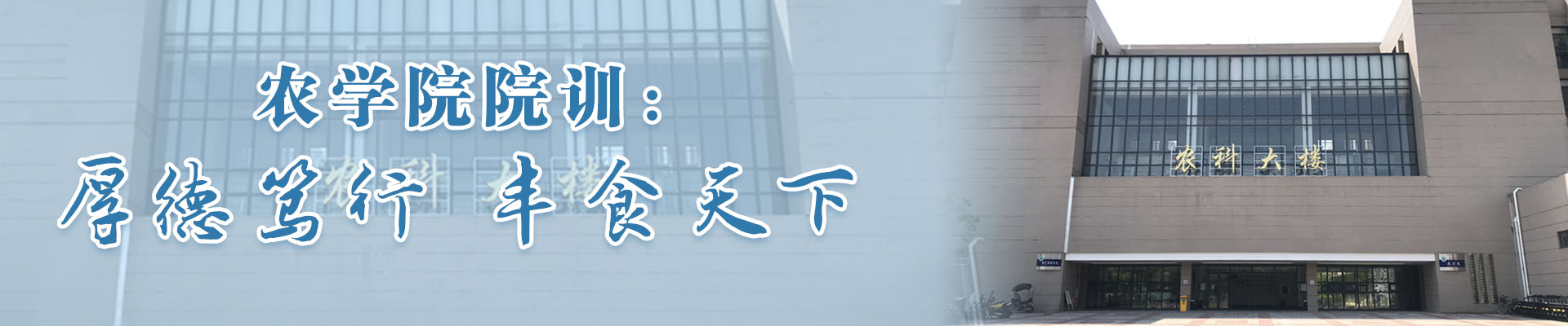 球王会平台
