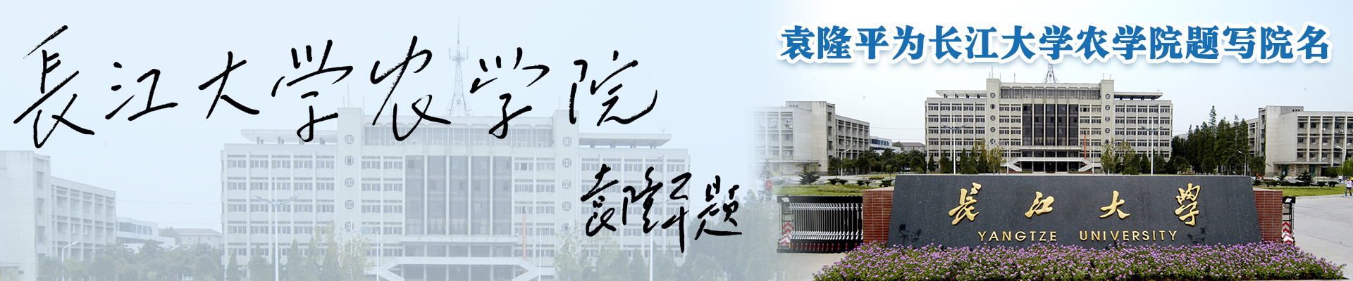 球王会平台