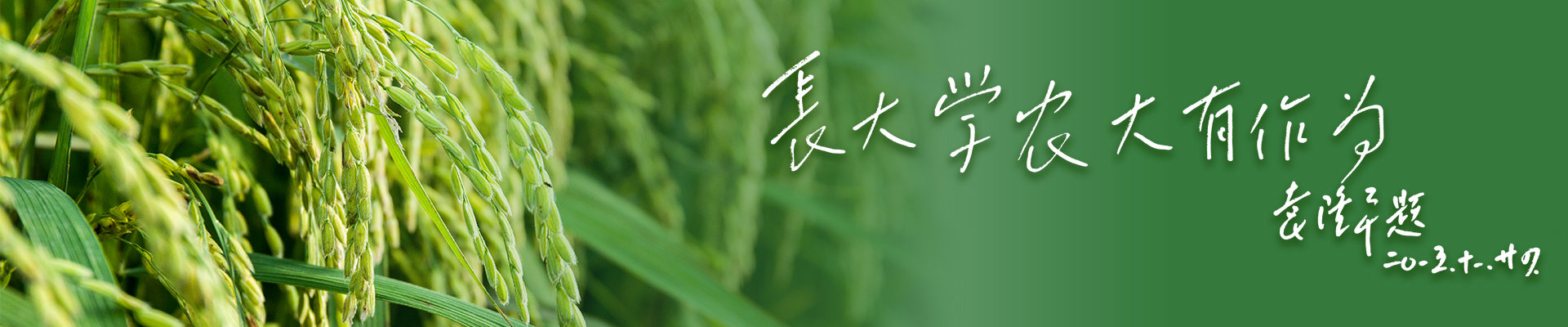 球王会平台